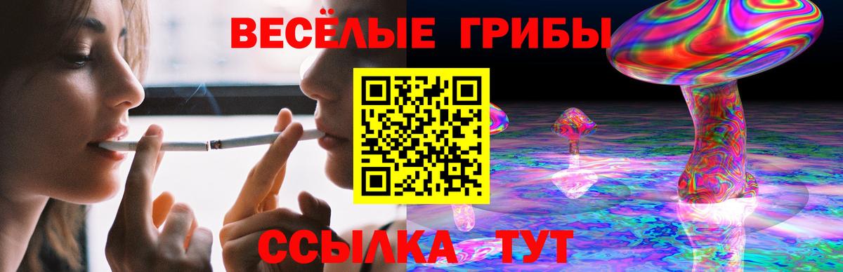 Галлюциногенные грибы прущие грибы Удомля